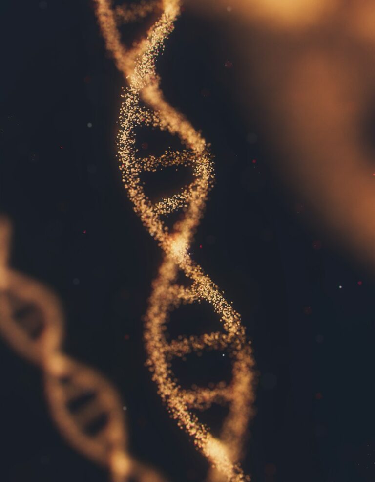 DNA strand visualization representing genetic counseling referrals