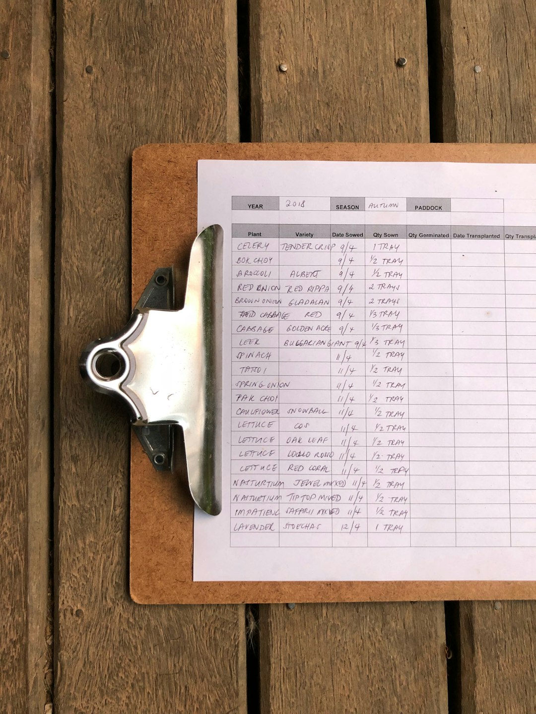 Nurse reviewing a patient care plan